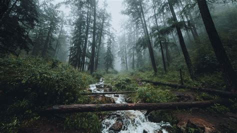 Desktop wallpapers full hd, hdtv, fhd, 1080p, hd backgrounds .